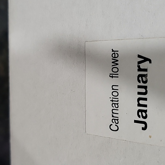 Nib Month Flower Top with Votive Candle Beautiful January Carnation Flower - Picture 4 of 8